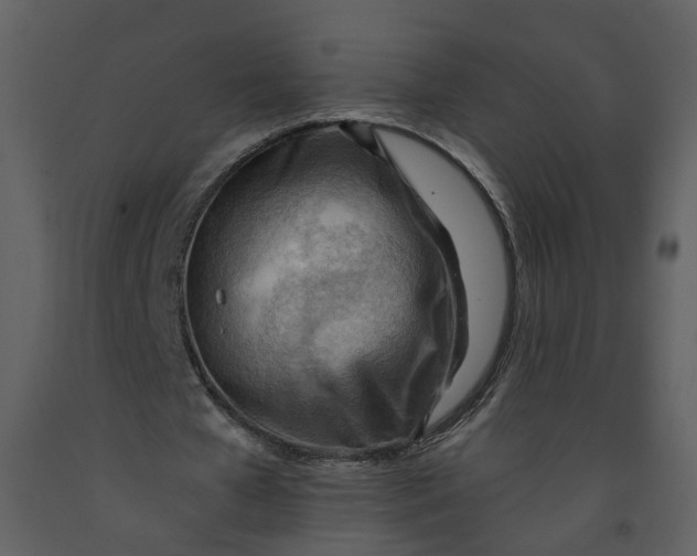 X0000093260577200710171451