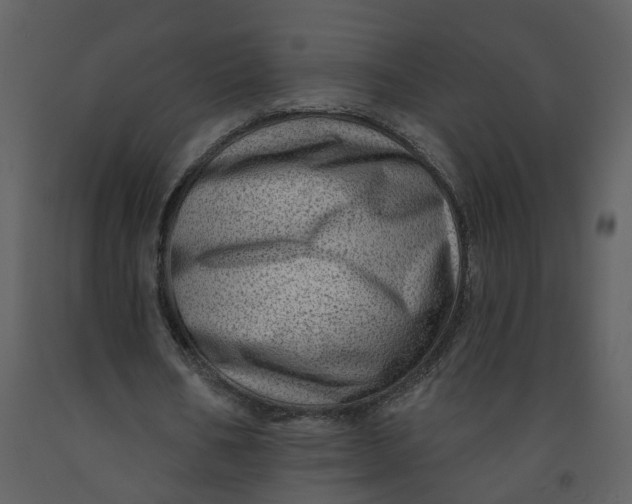 X0000093260578200710171451