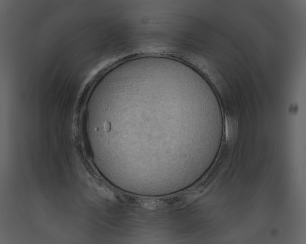 X0000093260579200710171451