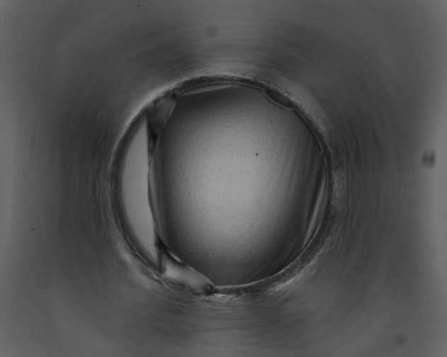 X0000093260580200710171451