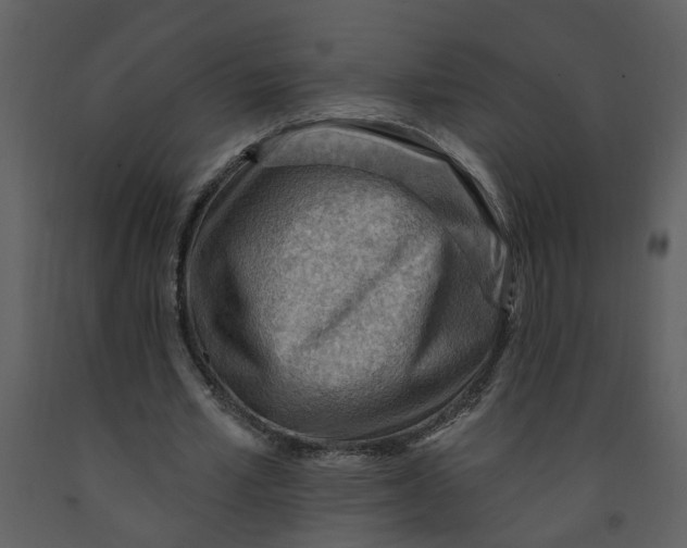 X0000093260581200710171451