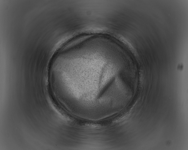 X0000093260582200710171451