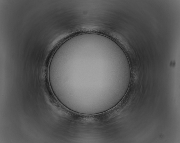 X0000093260583200710171451