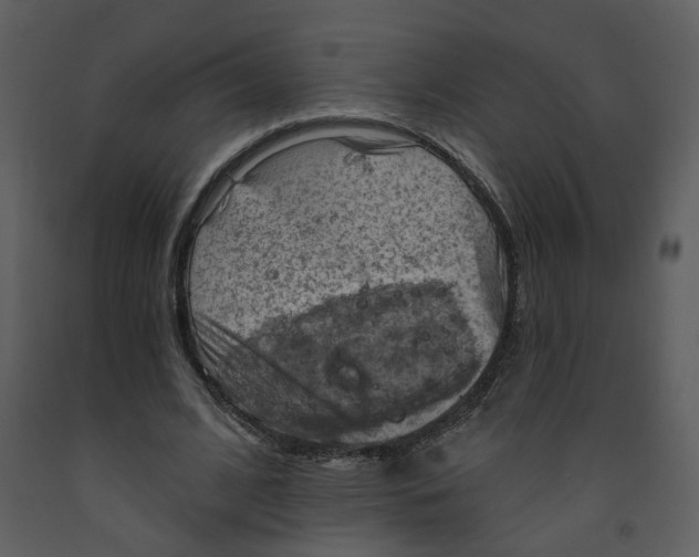 X0000093260584200710171451