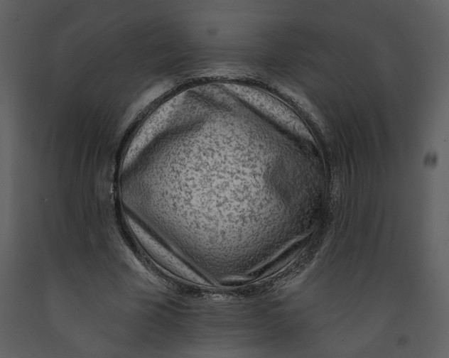 X0000093260585200710171451