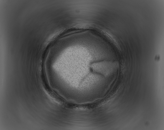 X0000093260586200710171451