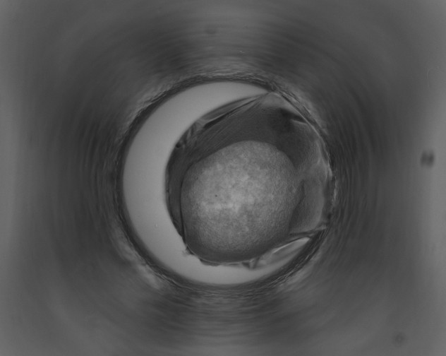 X0000093260589200710171451