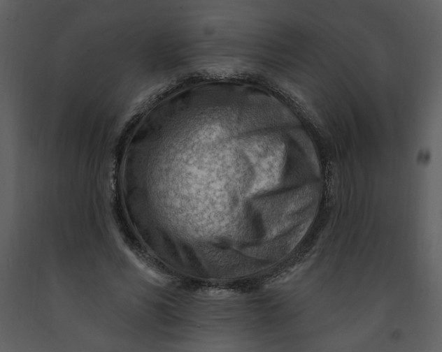 X0000093260590200710171451