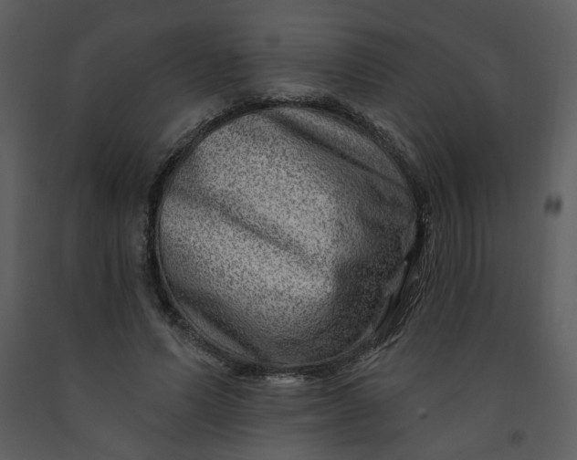 X0000093260591200710171451