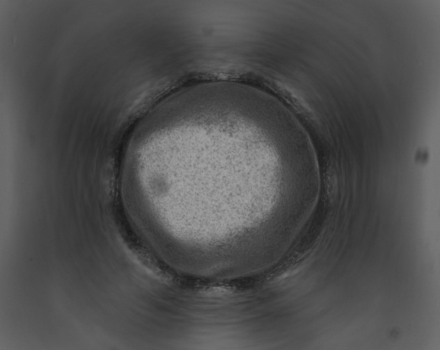 X0000093260594200710171451