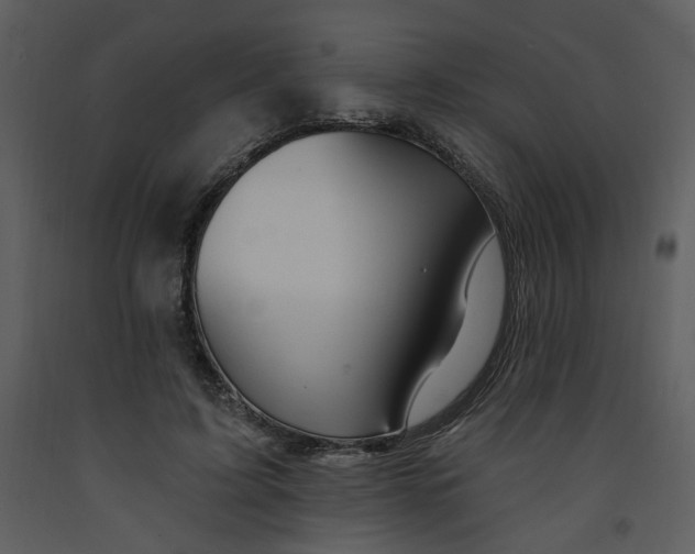 X0000093260595200710171451