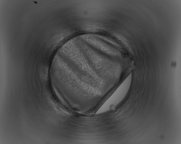 X0000093260596200710171451