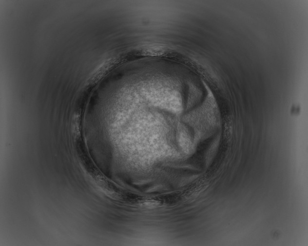 X0000093260598200710171451