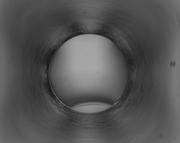 X0000093260599200710171451