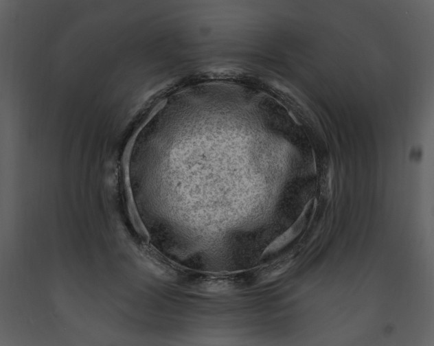 X0000093260604200710171451