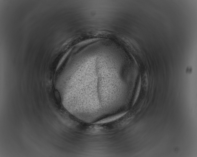 X0000093260607200710171451