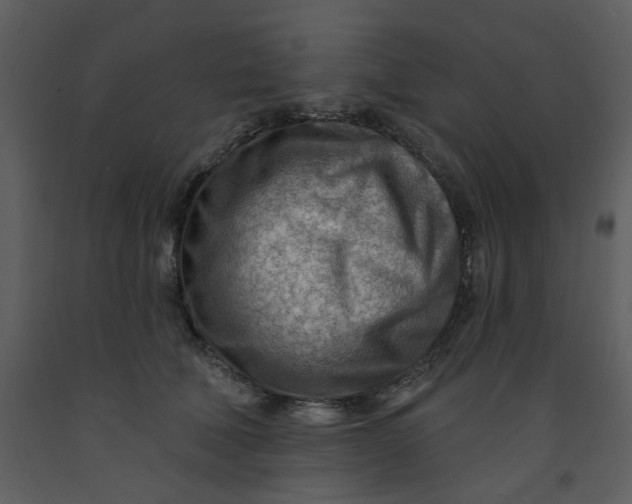 X0000093260610200710171451