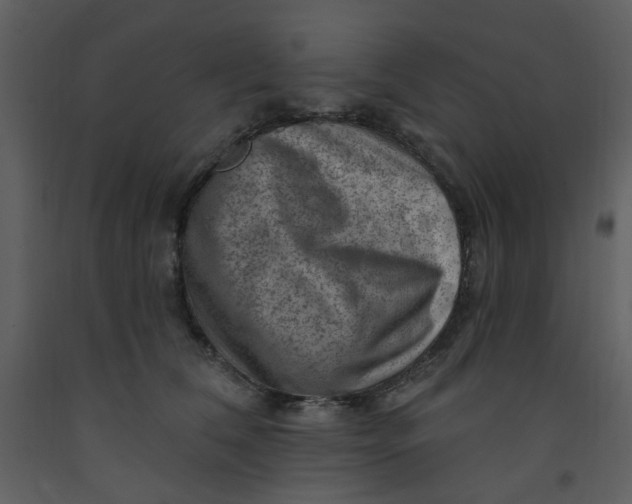 X0000093260612200710171451