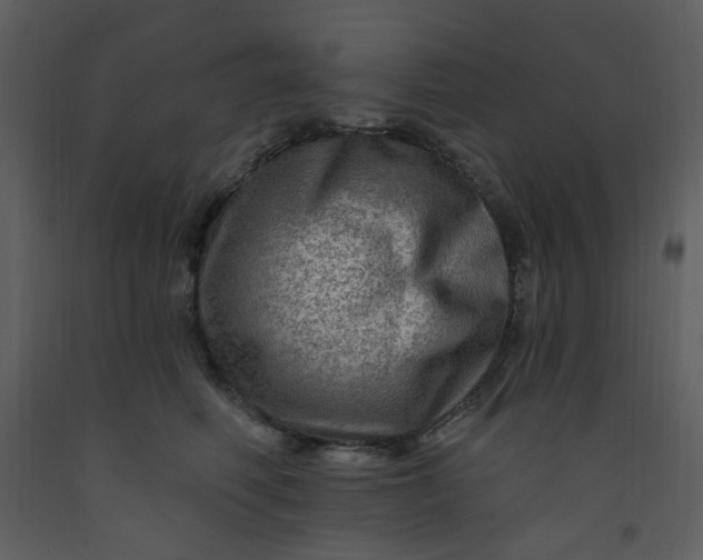 X0000093260614200710171451