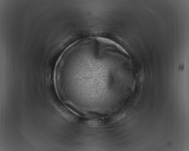 X0000093260615200710171451