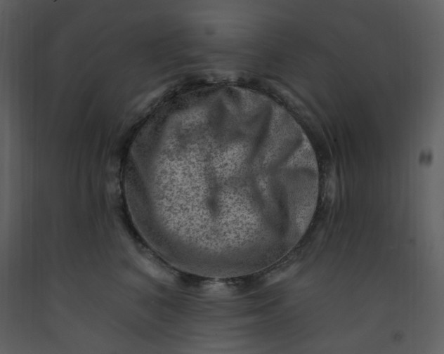 X0000093260616200710171451