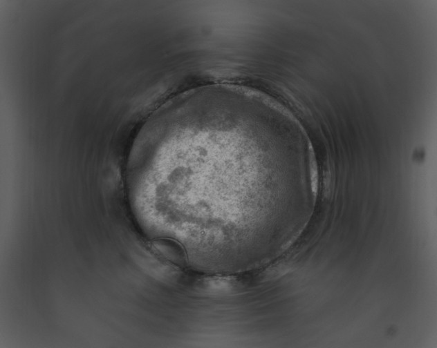 X0000093260618200710171450