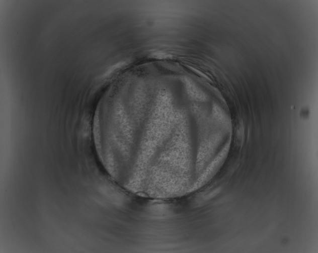 X0000093260620200710171450