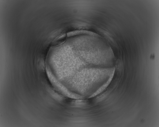 X0000093260622200710171450