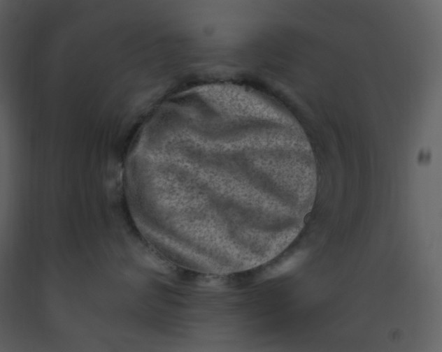 X0000093260624200710171450