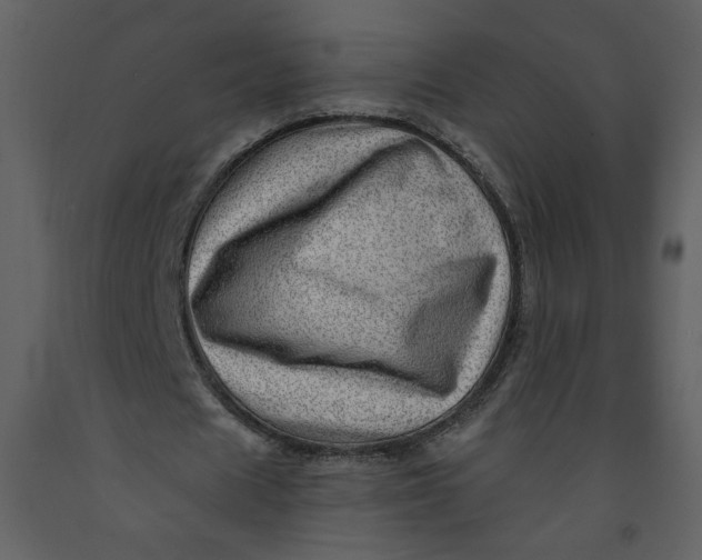 X0000093260625200710171450