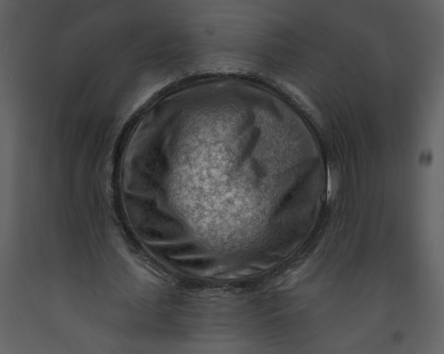 X0000093260627200710171450