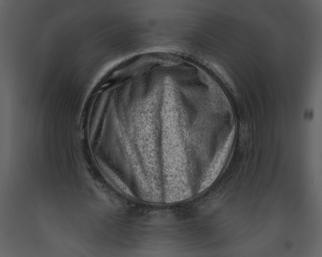 X0000093260628200710171450