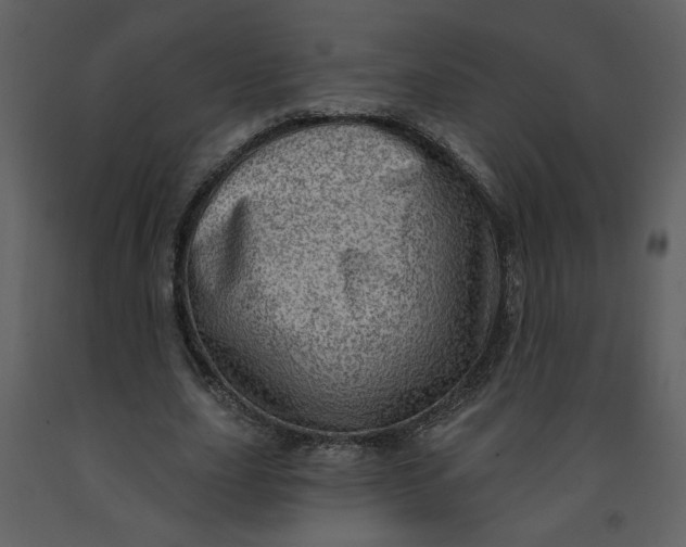 X0000093260631200710171450