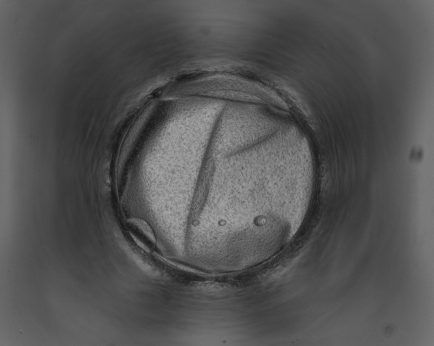 X0000093260633200710171450