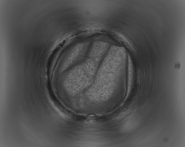 X0000093260634200710171450