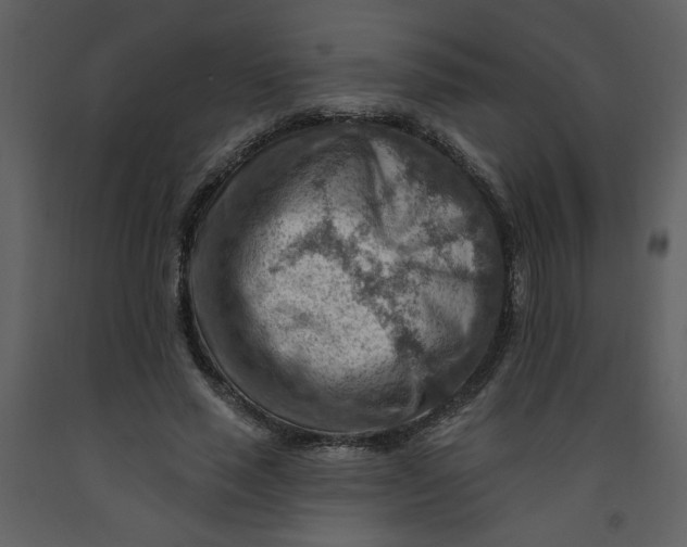 X0000093260637200710171450