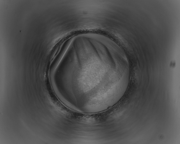 X0000093260640200710171450