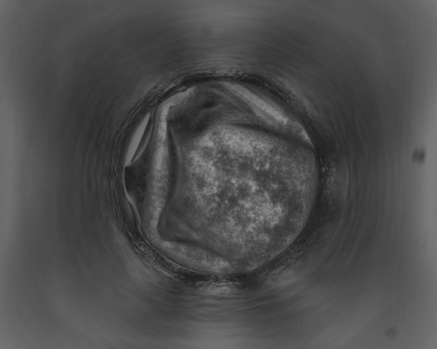 X0000093260643200710171450