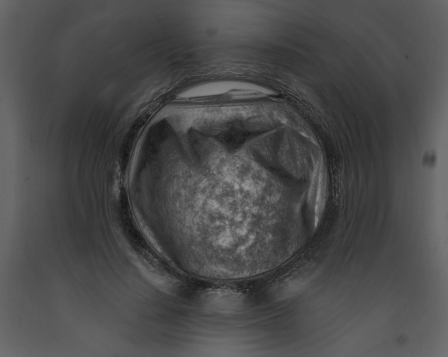 X0000093260644200710171450