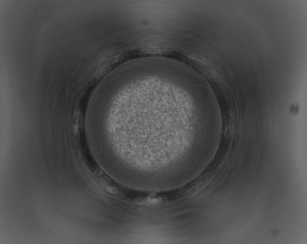 X0000093260647200710171450