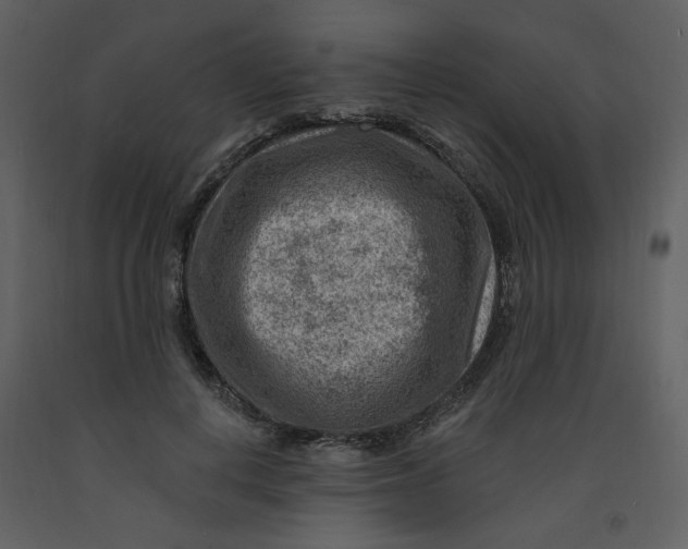 X0000093260648200710171450