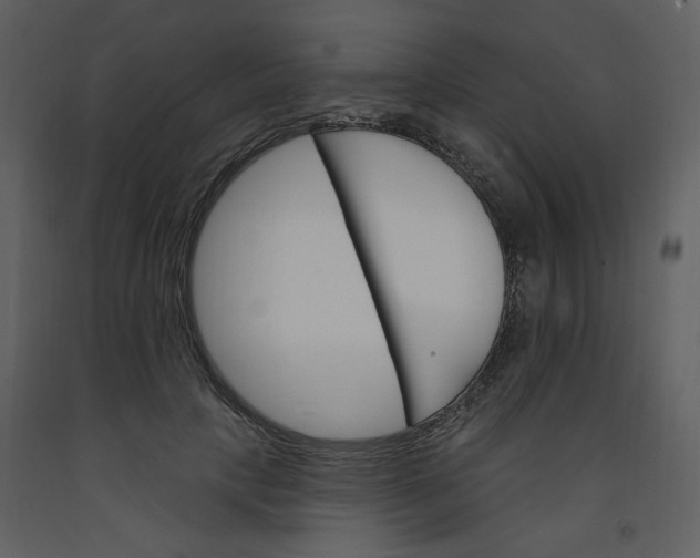 X0000093260649200710171450