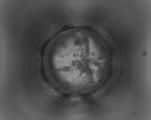 X0000093260653200710171450