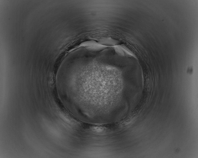 X0000093260654200710171450