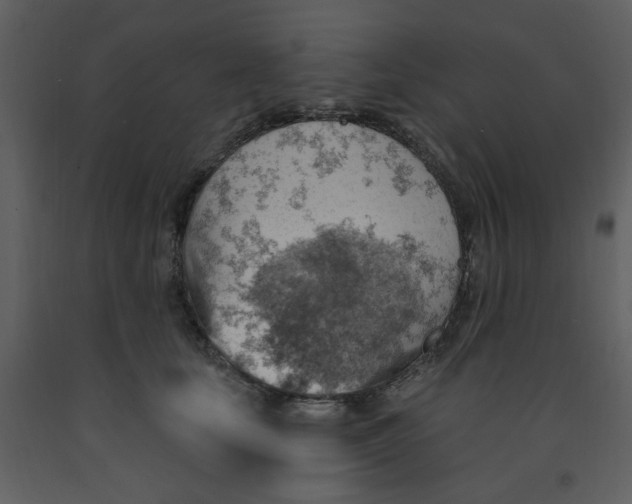 X0000093260659200710171450