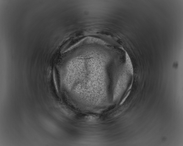 X0000093260660200710171450