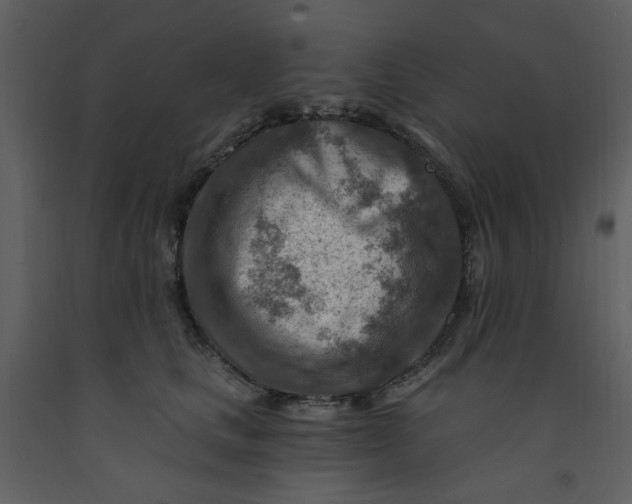 X0000093260661200710171450