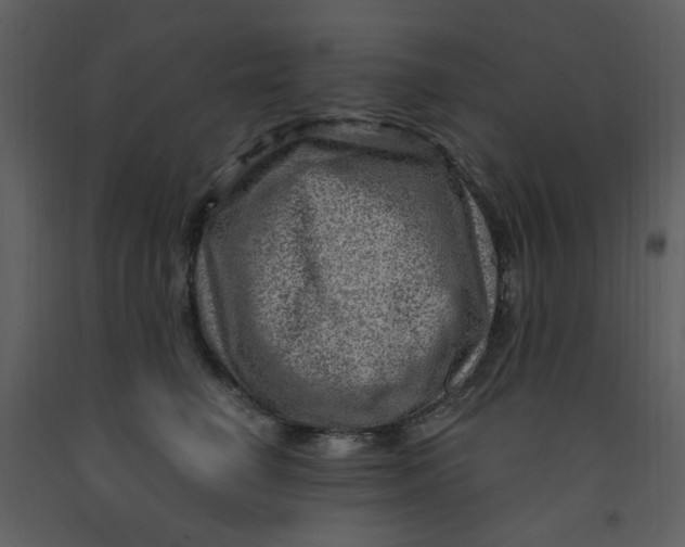 X0000093260662200710171450