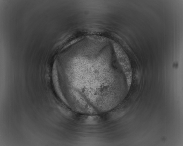 X0000093260663200710171450