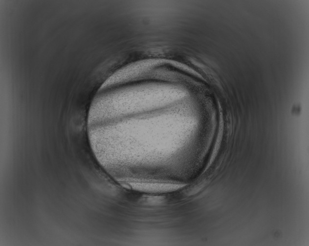 X0000093260665200710171450